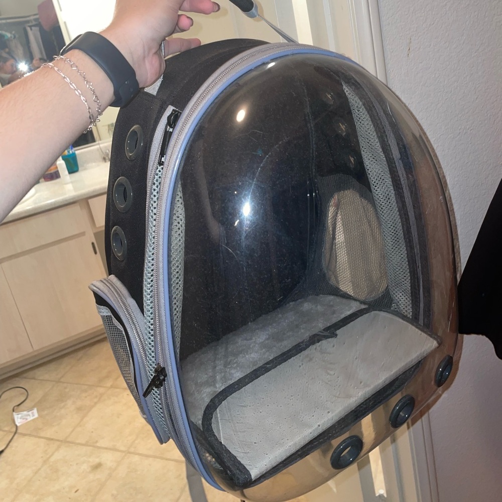 cat backpack